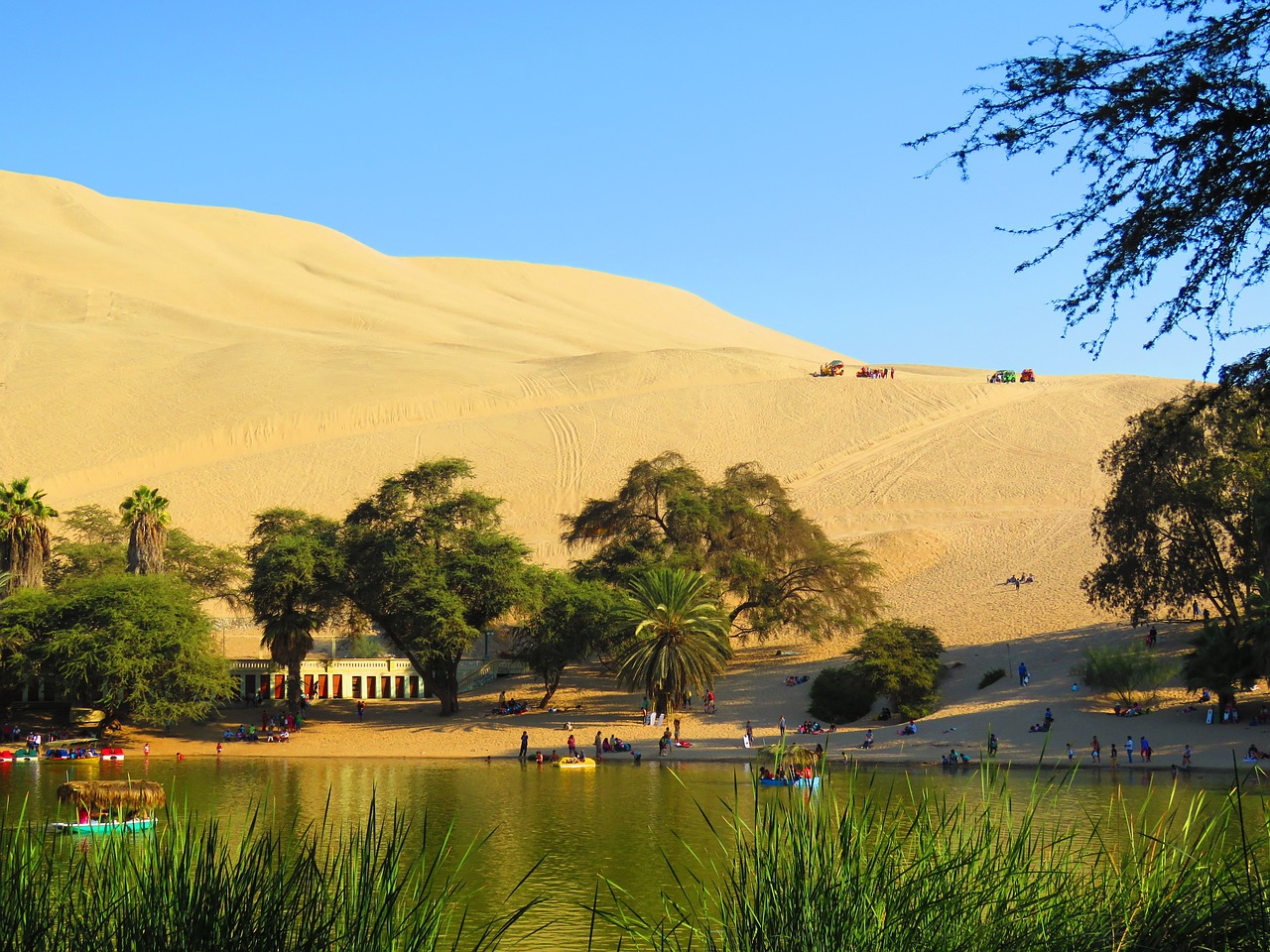 oasis, peru, huacachina